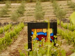Festival Mar de Tethys 2026 - Bodega Vetas
